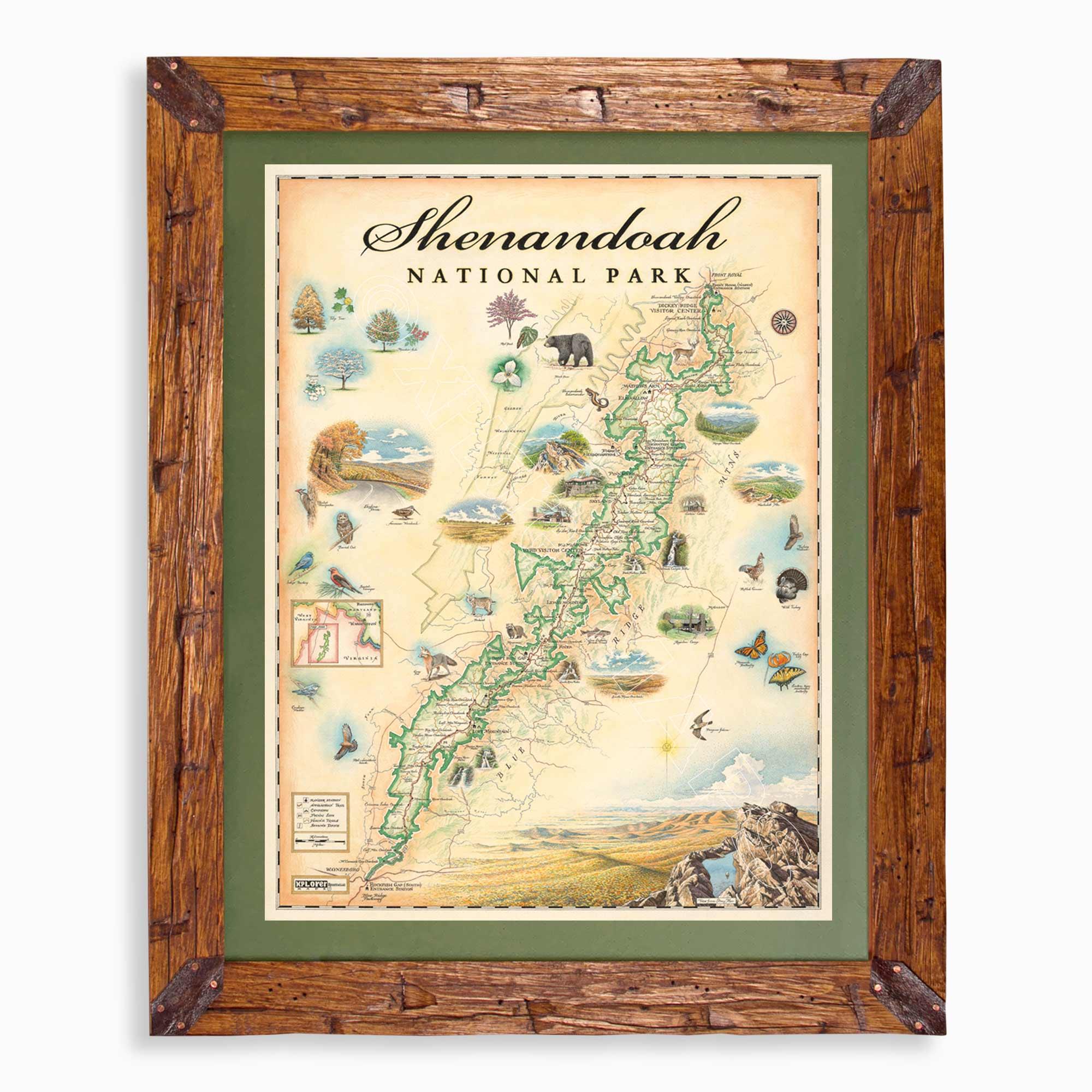 Shenandoah National Park hand-drawn map in earth tones blues and greens. The map print is framed in Montana hand-scraped pine with a green mat.