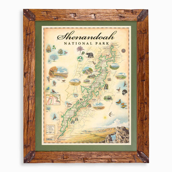 Shenandoah National Park hand-drawn map in earth tones blues and greens. The map print is framed in Montana hand-scraped pine with a green mat.