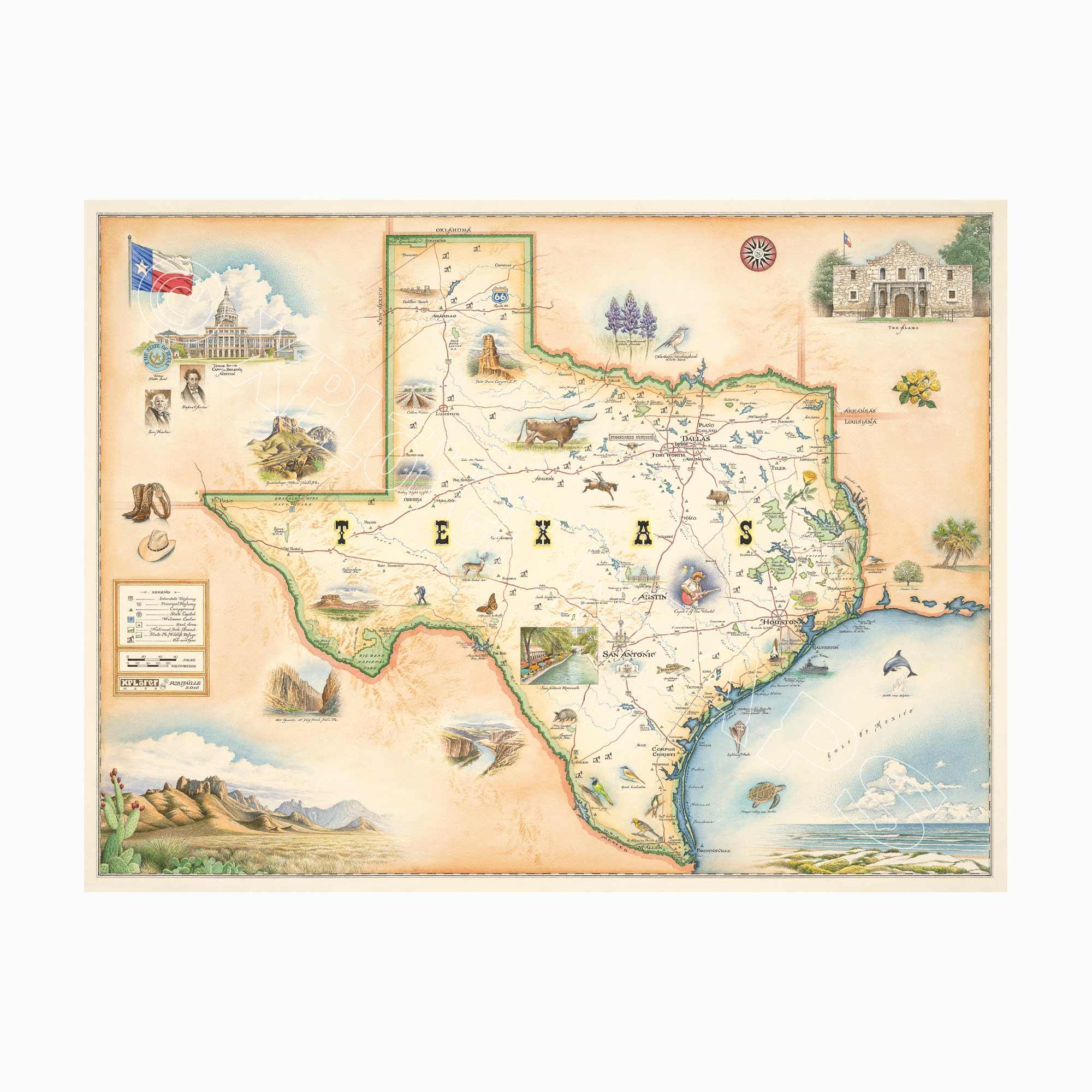 Texas state hand-drawn map in earth tones brown and beige. The map features illustrations of places such as the Alamo, San Antonio Riverwalk, and Guadalupe National Park. Flora and fauna include venus flytrap, longhorns, Monarch butterfly, and armadillo. Measures 24x18.