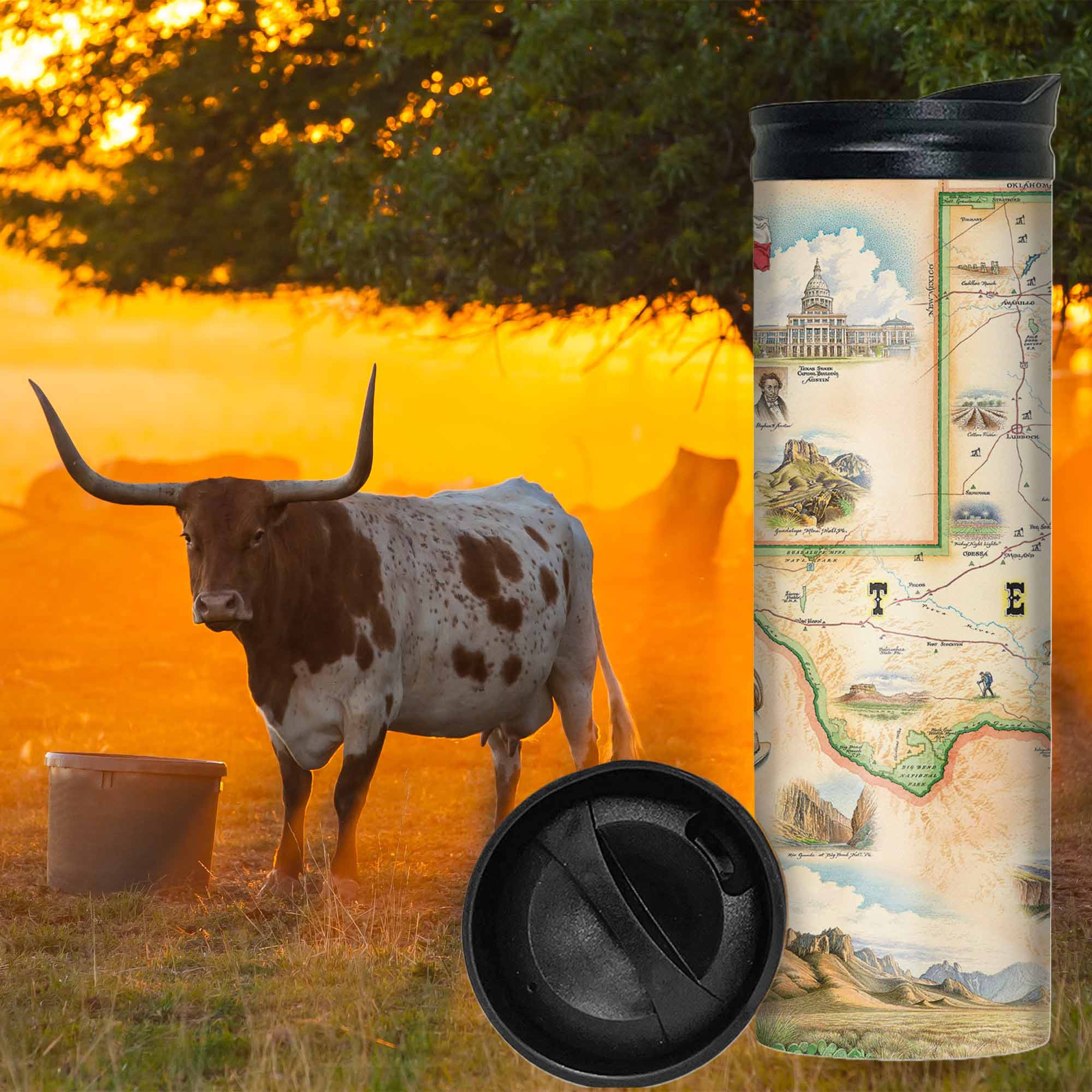 Texas State Map 16 oz travel Drinkware bottle. In the background is a Texas Longhorn cow under an oak tree at dusk. The map features illustrations of places such as the Alamo, San Antonio Riverwalk, and Guadalupe National Park. Flora and fauna include Venus flytraps, longhorns, Monarch butterflies, and armadillos.
