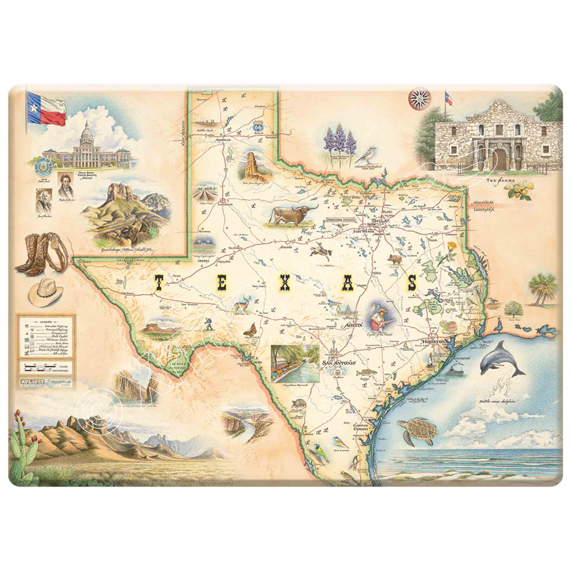 Texas Magnet by Xplorer Maps. The magnet is featuring cities like Dallas, Houston, San Antonio, Austin, the Alamo and cowboys . Flora and fauna like Longhorn, birds, dolphins, turtles, cactus, and trees. 