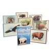Wildlife Greeting Cards