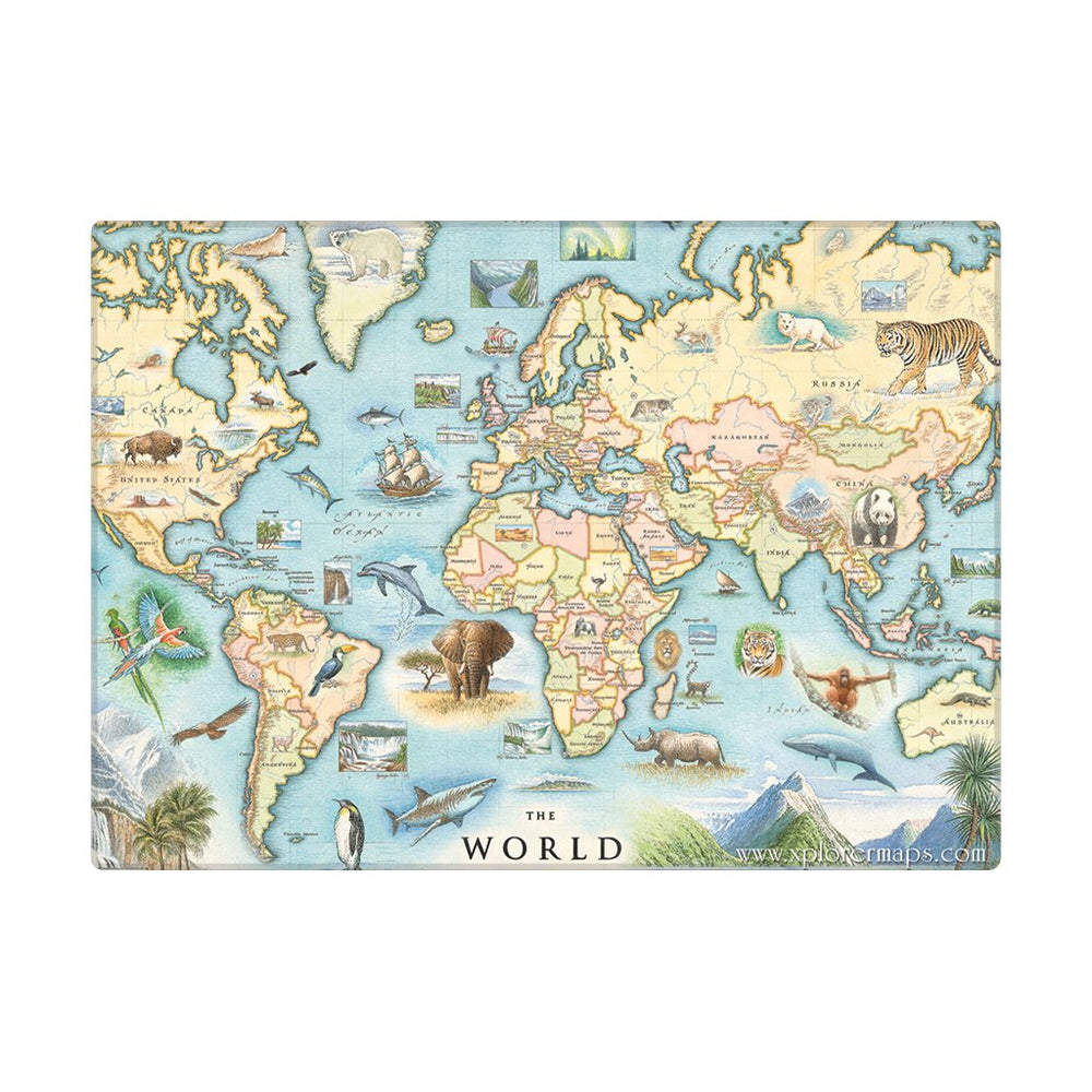 World Map Magnets