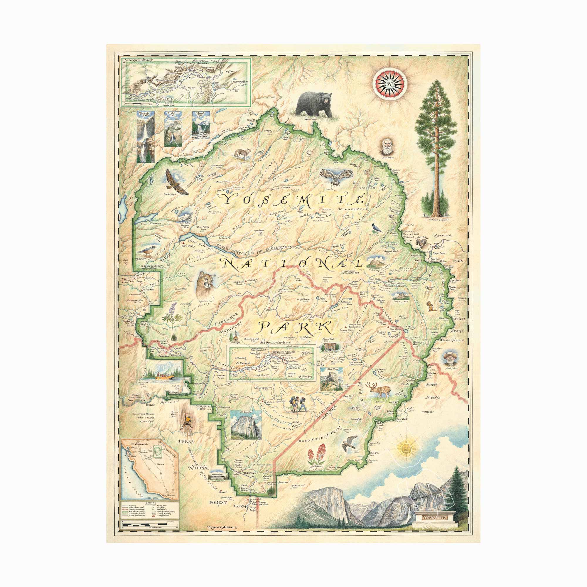 Yosemite National Park hand-drawn map in earth tones beige and green. The map features illustrations of places such as Vernall falls, El Capitan, and Half Dome. Flora and fauna include mule deer, indian paintbrush, grey owl, and coyote. Other illustrations include John Muir, mountain climbing, hiking, and Ansel Adams. Measures 18x24.