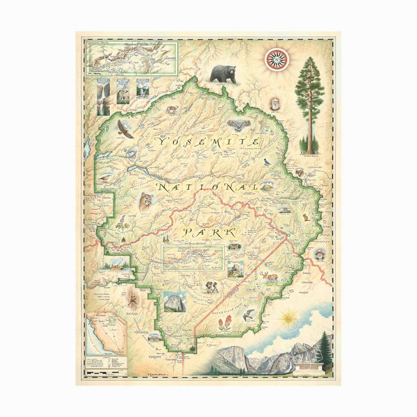 Yosemite National Park hand-drawn map in earth tones beige and green. The map features illustrations of places such as Vernall falls, El Capitan, and Half Dome. Flora and fauna include mule deer, indian paintbrush, grey owl, and coyote. Other illustrations include John Muir, mountain climbing, hiking, and Ansel Adams. Measures 18x24."