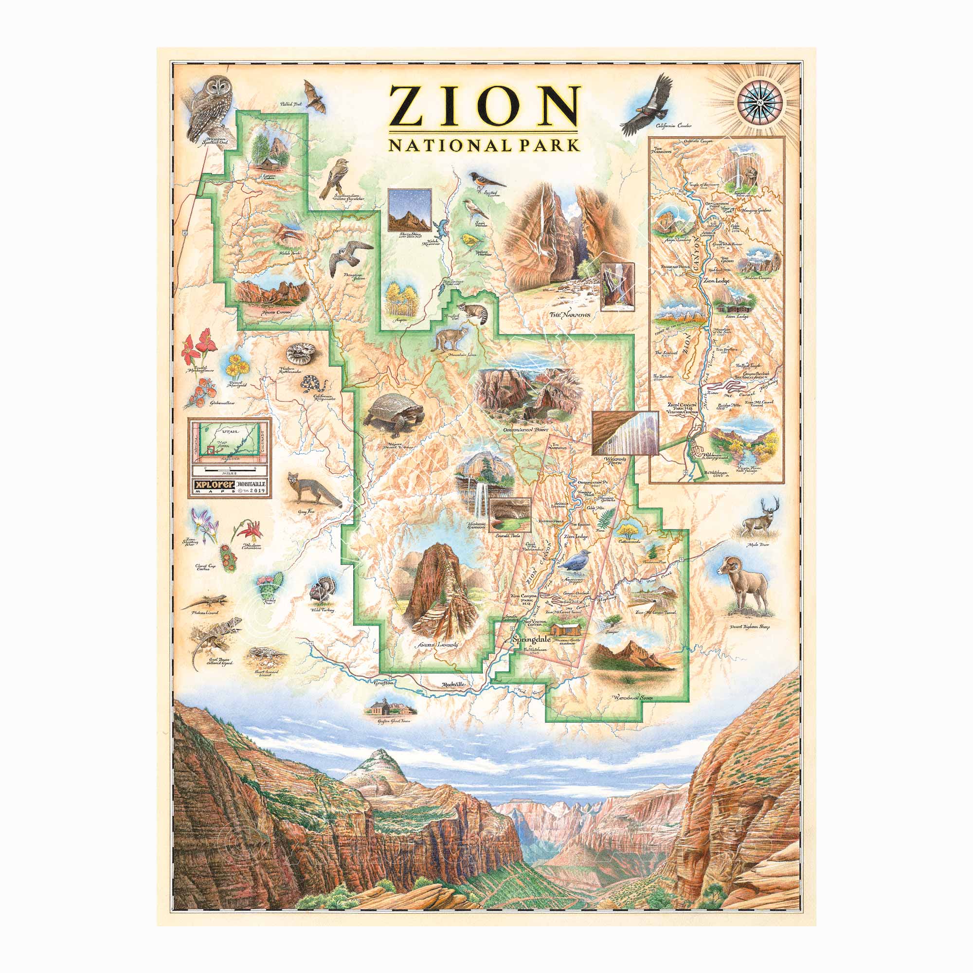 Zion National Park hand-drawn map in beige, brown, and orange earth tones. The map features illustrations of Angels Landing, Weeping Rock, The Narrows, and Kolob Canyon. Flora and fauna include Mojave desert tortoise, western columbine, and desert marigold. Measures 18x24.