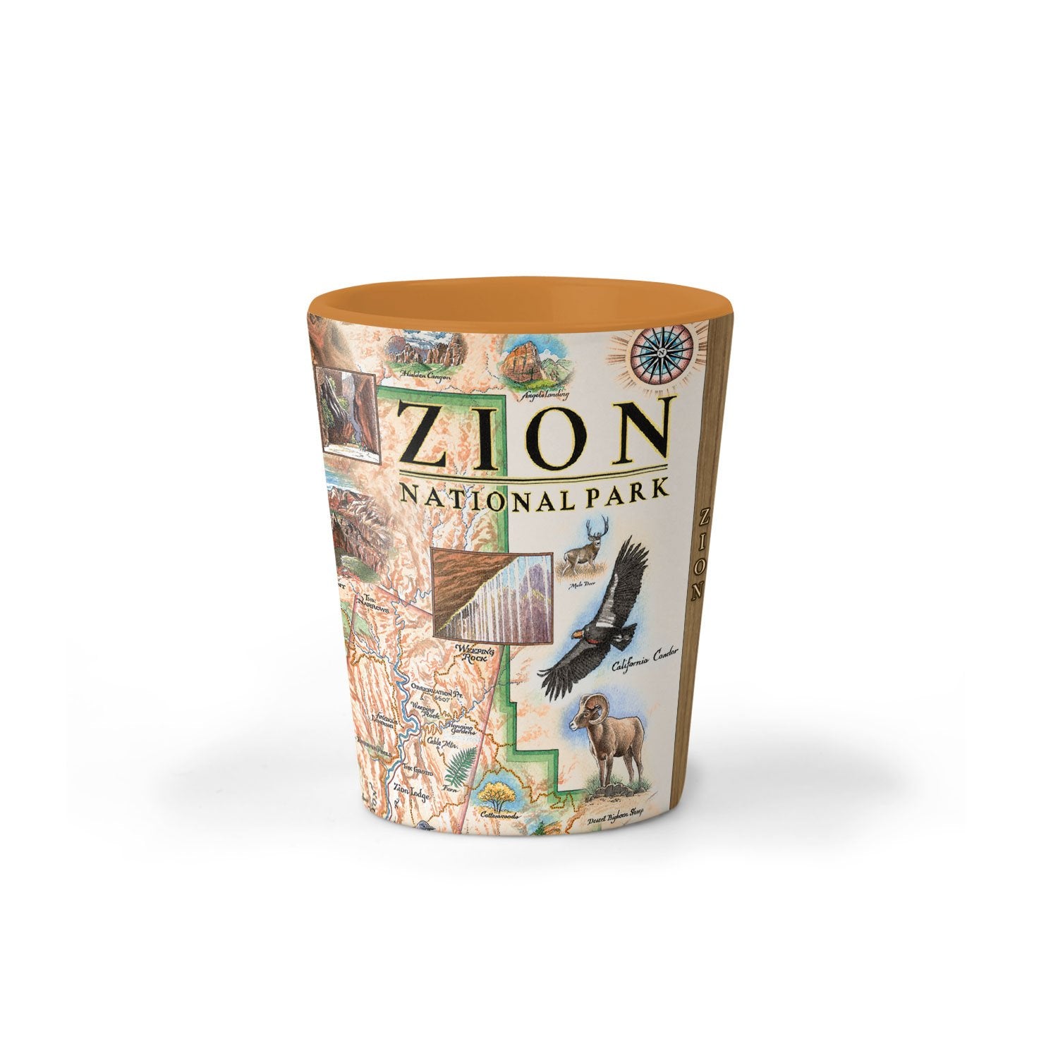 Zion National Park Map Ceramic shot glass by Xplorer Maps. The map features illustrations of Angels Landing, Weeping Rock, The Narrows, and Kolob Canyon. Flora and fauna include Mojave desert tortoise, western columbine, and desert marigold. 